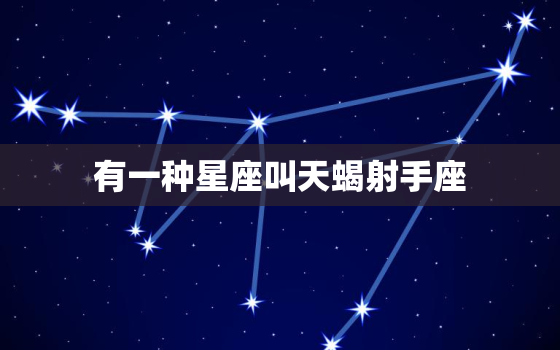 有一种星座叫天蝎射手座(神秘与冒险的完美结合)