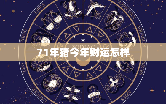 71年猪今年财运怎样(2023年猪年财运大揭秘)