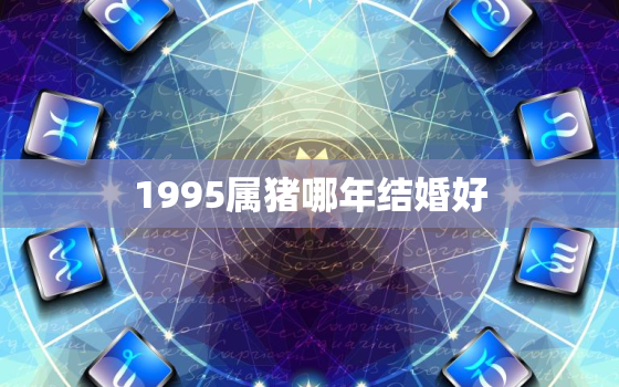 1995属猪哪年结婚好(猪年、龙年、狗年哪个更适合结婚)