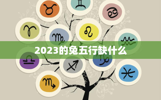 2023的兔五行缺什么(探寻兔年五行不足之处)