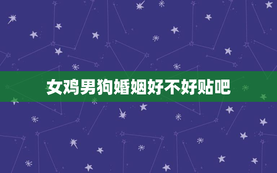 女鸡男狗婚姻好不好贴吧(星座学派解析)