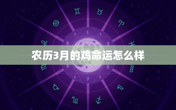 农历3月的鸡命运怎么样(2023年运势大揭秘)