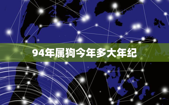 94年属狗今年多大年纪(狗年狂欢狗岁逐渐增长)