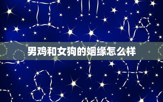 男鸡和女狗的姻缘怎么样(神奇的跨物种爱情)