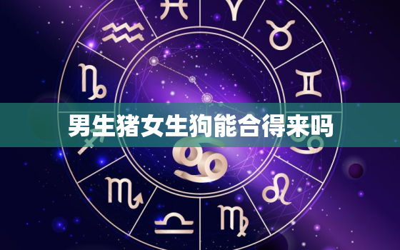 男生猪女生狗能合得来吗(星座专家揭秘这两个属相的恋爱关系)