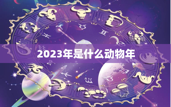 2023年是什么动物年(迎接中国传统文化的狗年)