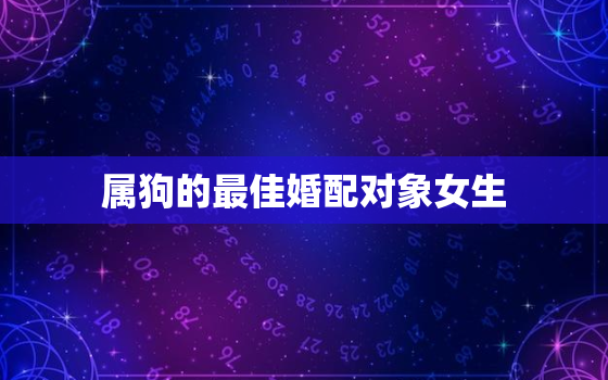 属狗的最佳婚配对象女生(如何选择最合适的伴侣)