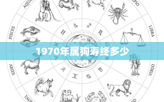 1970年属狗寿终多少(狗年人寿命长短因个人因素而异)