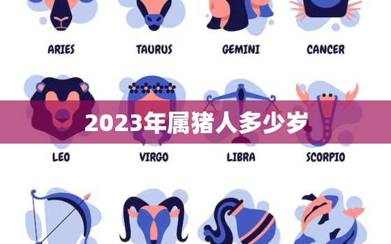 2023年属猪人多少岁(猪年重现你的年龄又增加了吗)