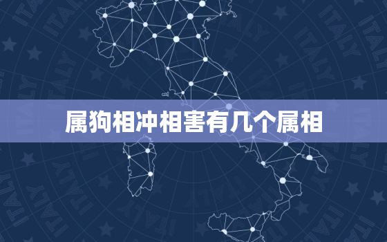 属狗相冲相害有几个属相(解析哪些属相与狗相冲或相害)