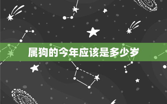 属狗的今年应该是多少岁(狗年生肖年龄计算方法详解)