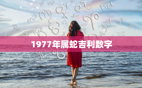 1977年属蛇吉利数字(揭秘数字7的神秘力量)