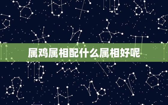 属鸡属相配什么属相好呢(12生肖中最佳配对大揭秘)