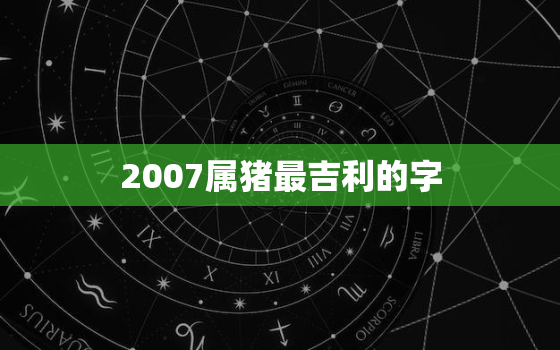 2007属猪最吉利的字(揭秘如何选择最适合猪年的幸运字)