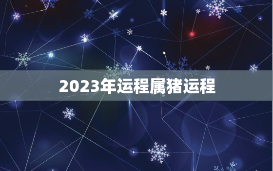 2023年运程属猪运程(猪年大吉财运亨通)