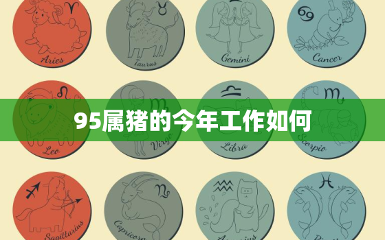 95属猪的今年工作如何(聚焦发展迎接挑战)