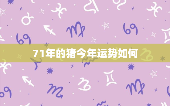 71年的猪今年运势如何(解读猪年生肖的2023运势)