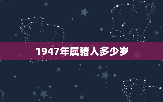 1947年属猪人多少岁(回顾过去展望未来属猪人的人生经历与展望)