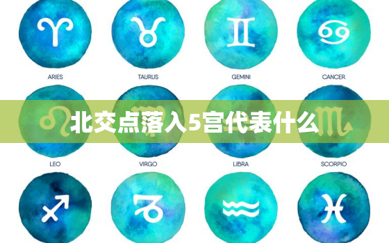 北交点落入5宫代表什么(探究宿命的指引)