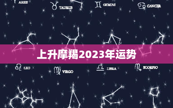 上升摩羯2023年运势(稳健前行迎接新的挑战)