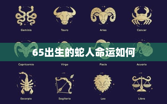 65出生的蛇人命运如何(探寻蛇年生肖的运势走向)