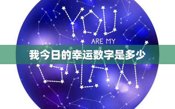 我今日的幸运数字是多少(揭秘如何找到属于你的幸运数字)