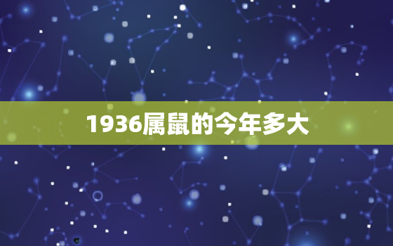 1936属鼠的今年多大(回顾属鼠人的命运展望未来的发展趋势)