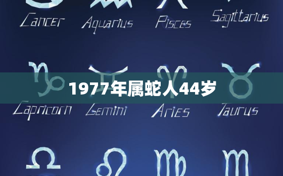 1977年属蛇人44岁(如何应对人生中的转折点)