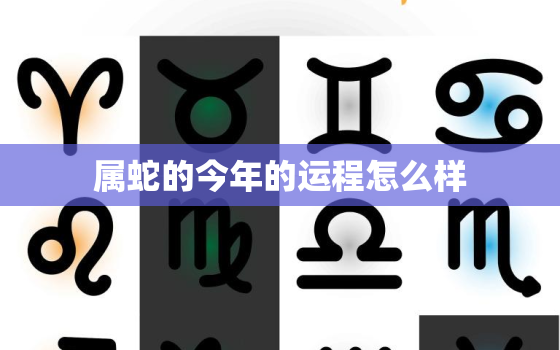 属蛇的今年的运程怎么样(2023年运势解析)