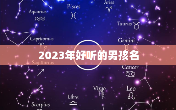 2023年好听的男孩名(独具匠心让你的宝贝与众不同)