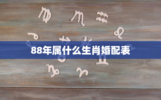 88年属什么生肖婚配表(完美配对指南)