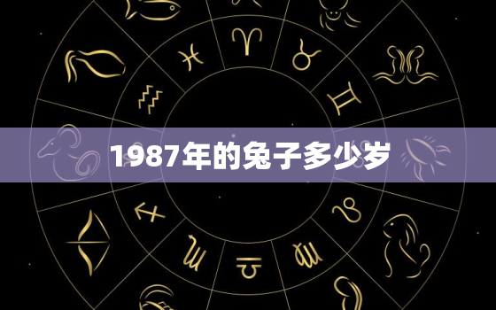 1987年的兔子多少岁(回顾1987年兔子的年龄如何计算)