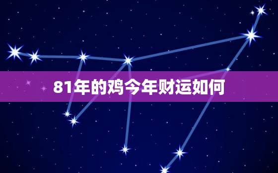 81年的鸡今年财运如何(解析2023年鸡年运势大揭秘)