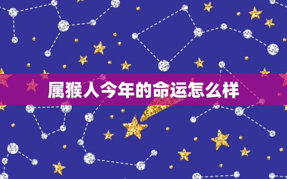 属猴人今年的命运怎么样(2023年猴子运势大揭秘)