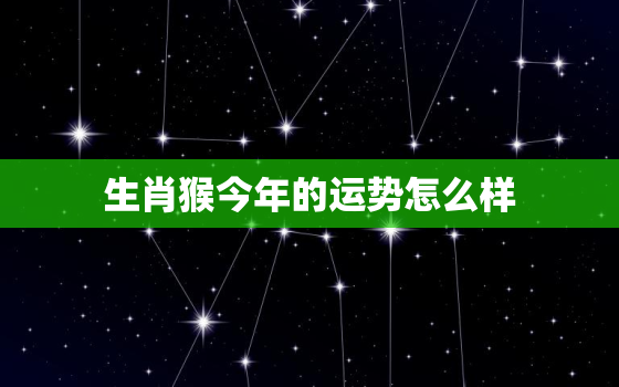 生肖猴今年的运势怎么样(2023年猴子运势大揭秘)