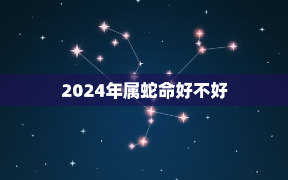 2024年属蛇命好不好(蛇年运势大揭秘)