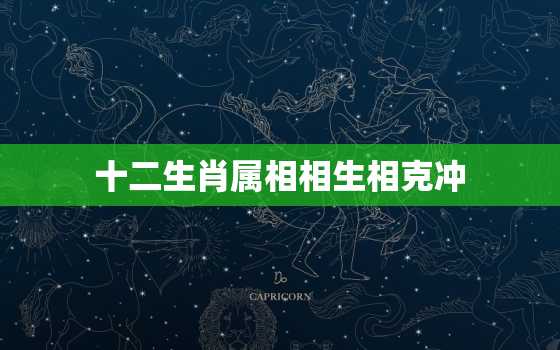 十二生肖属相相生相克冲(如何避免属相冲突)