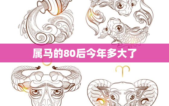 属马的80后今年多大了(马上迎来四十岁)