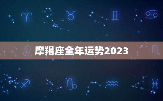 摩羯座全年运势2023(事业财运双丰收)