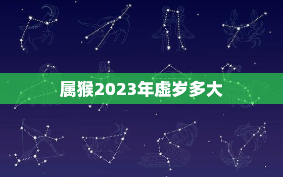 属猴2023年虚岁多大(猴年大吉猴宝宝们几岁了)