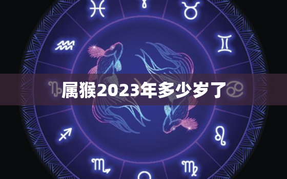 属猴2023年多少岁了(猴年将至你的年龄又增加了吗)