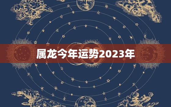 属龙今年运势2023年(龙行天下财源广进)