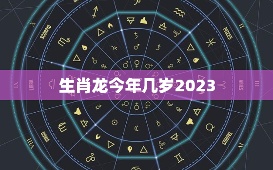 生肖龙今年几岁2023(龙年出生的你2023年几岁了)