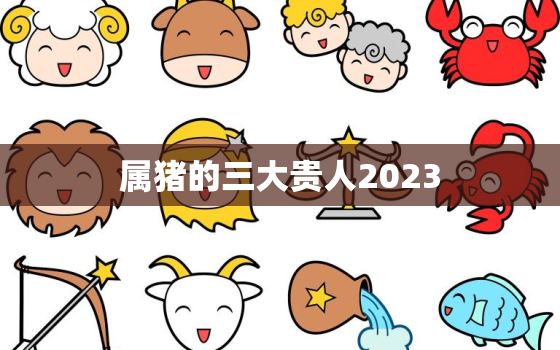 属猪的三大贵人2023(贵人相助事业顺风顺水)