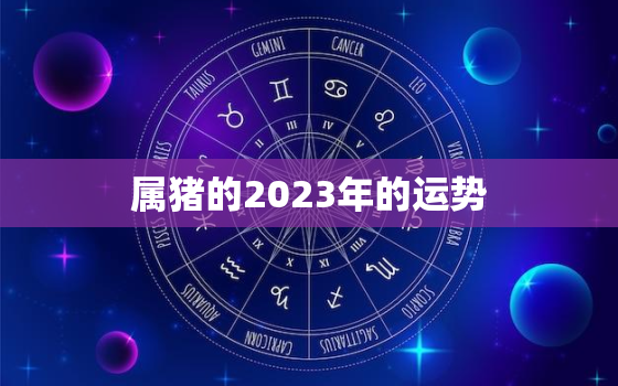 属猪的2023年的运势(猪年大吉财运亨通)