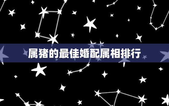 属猪的最佳婚配属相排行(十二生肖中最佳的配对)