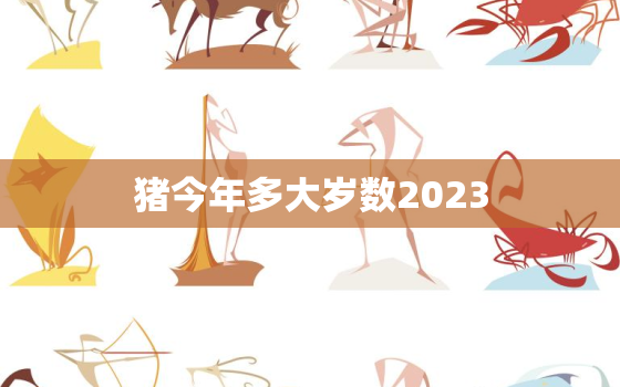 猪今年多大岁数2023(猪年将至你知道猪的年龄吗)