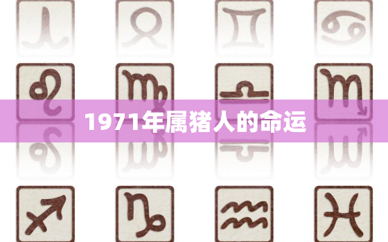 1971年属猪人的命运(猪年大吉财运亨通)