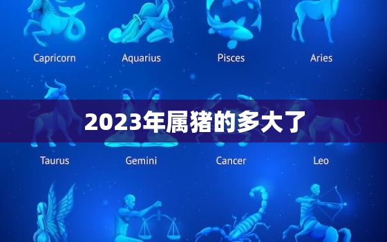 2023年属猪的多大了(猪年宝宝即将迎来3岁生日)