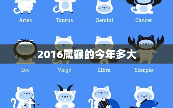 2016属猴的今年多大(猴年生肖运势如何)